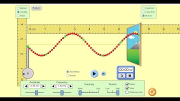 Measuring the speed of a wave -Virtual lab