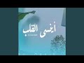 أينسى القلب   قيس أبو عبيد حالتي