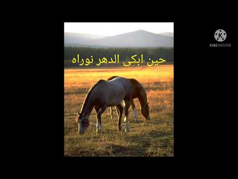 اطفاء المصباح نوره