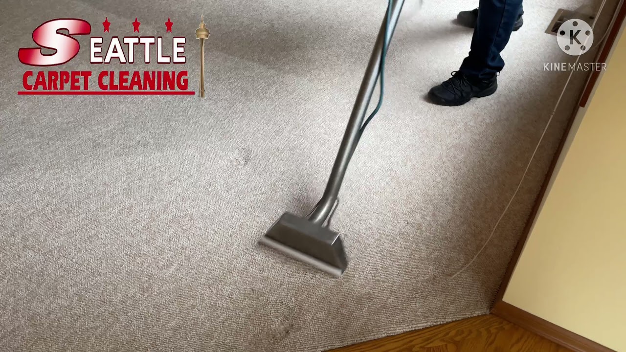 Carpet cleaning in seattle. 2063358167 YouTube