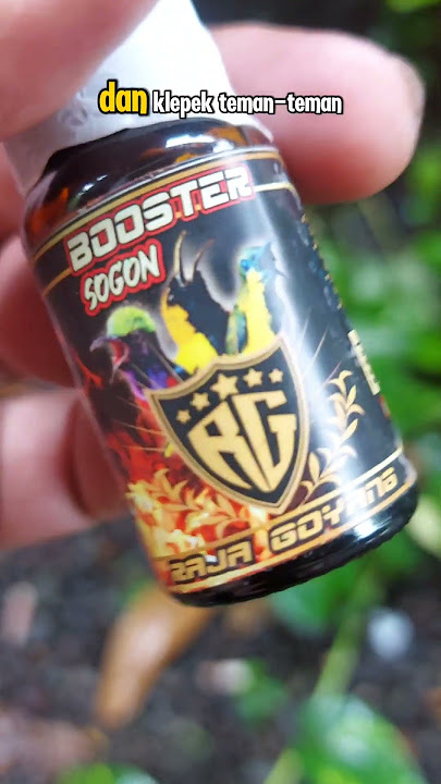 High Dose Sogon Booster - Make Sogon Chirp and Sing Quickly #sogon #sogongacor #dopingsogon