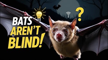 "Myth Busted: Are Bats ReallyBlind? | Myth Buster with AI"