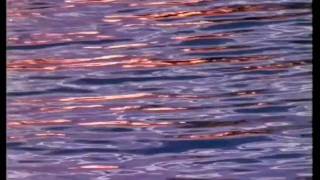 Timelapse showreel (1994) - Michael Sarkis