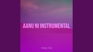 Aanu Ni (Instrumental) - Hojay Sax