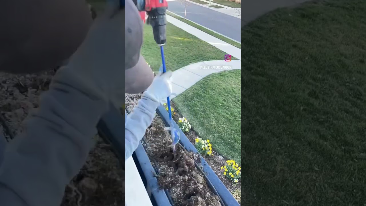 Planting ideas pinned in my comments 🌹 