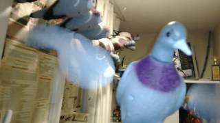 Motorlu Güvercin mühresi 450 ₺