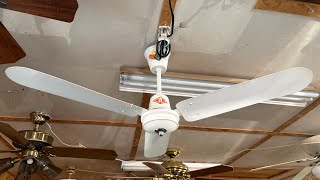 Wing TAT 48” Industrial Ceiling Fan