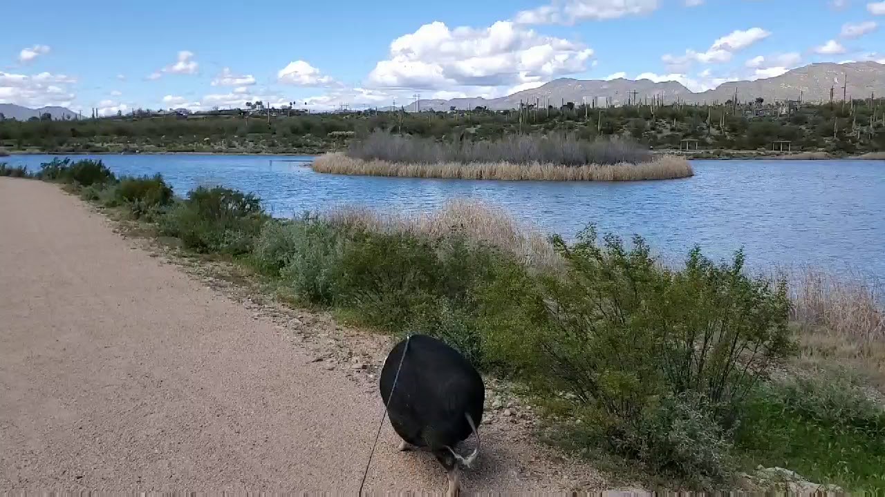 Kearney Lake YouTube