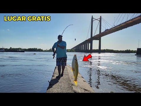 PESCÓN ABAJO DEL PUENTE DEL RÍO PARANA GUAZU, Primera pesca del año.