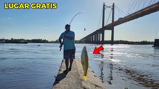 PESCÓN ABAJO DEL PUENTE DEL RÍO PARANA GUAZU, Primera pesca del año.