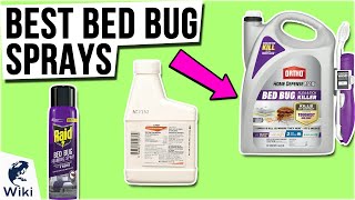 10 Best Bed Bug Sprays 2020
