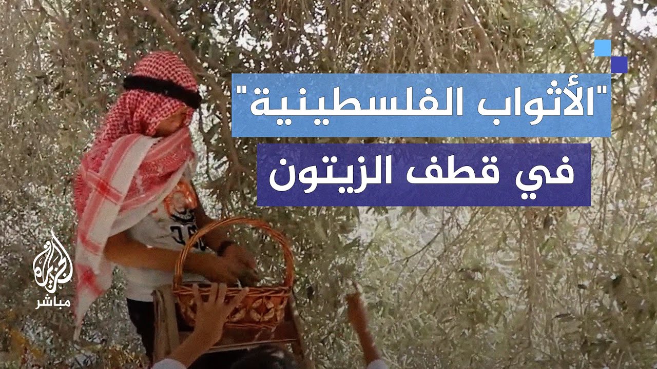 فعالية قطف الزيتون.. أطفال دير البلح يحتفون بالموروث الثقافي والتاريخي الفلسطيني