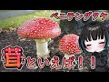 【世界一有名 !?】🍄←「キノコ」の絵文字モチーフになったキノコ、ベニテングタケ【奇ノ駒たんごのキノ小話#1】