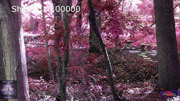 *Demo* 3Delighted Color Shift OLD VERSION