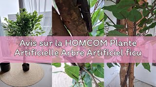 Avis sur la HOMCOM Plante Artificielle Arbre Artificiel ficus Hauteur 1,50 m Tronc Branches Liane Li