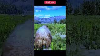 RDR2 PC Mod Madness: John Marston Turns Into an Animal Rampage! 🐗💥