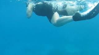 Spearfishing at Flanagan Island