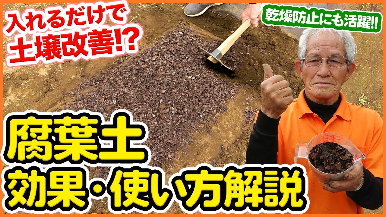 肥料の基本 初心者必見 土作りに大切な腐葉土の特徴を超シンプルに解説 夏野菜の栽培の前に土壌改善 乾燥防止と雑草対策にも 土壌改良 元肥 施肥 Youtube