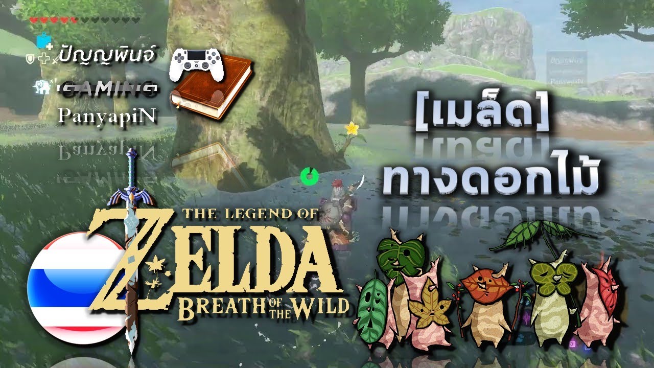 [เมล็ด] เซลดา :BotW - ทางดอกไม้, บึง Keya Pond, ที่ราบสูง Dunsel ...
