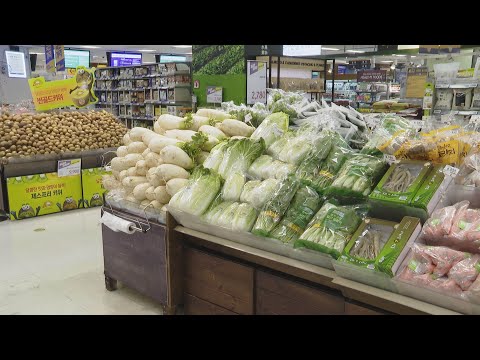 <strong>배추·무</strong> <strong>가격</strong> &amp;#39;고공행진&amp;#39;…심상치 않은 채솟값 / 연합뉴스TV (YonhapnewsTV)