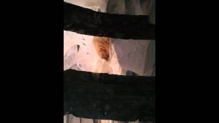 20120710_182514.mp4