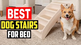 Top 5 Best Dog Stairs for Bed in 2023