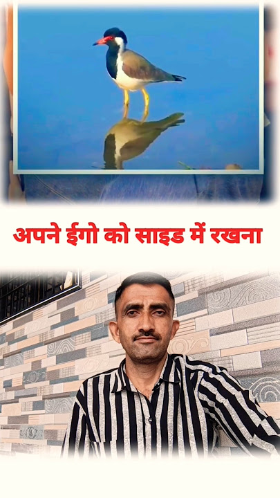 अपने इगो को साइड में रखना #facts #trending #motivation #shorts