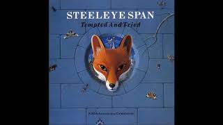 Watch Steeleye Span Following Me video