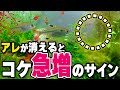 なぜ水槽に急激にコケが生えるのか？その原因と対策、３日で綺麗に取り除く #アクアリウム #熱帯魚 【ビバアクア】