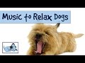 MUSIC TO RELAX DOGS! - TRY IT ON YOUR DOG AND WATCH RelaxMyDog 