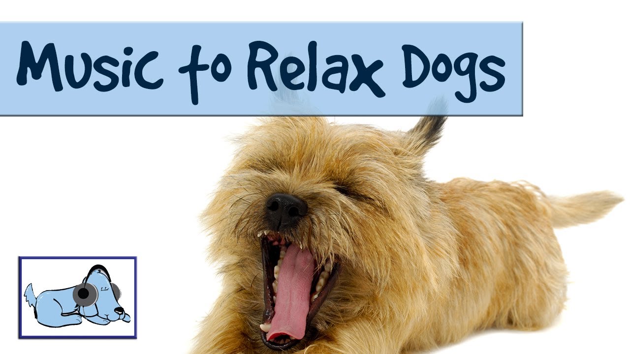 sounds to calm your dog