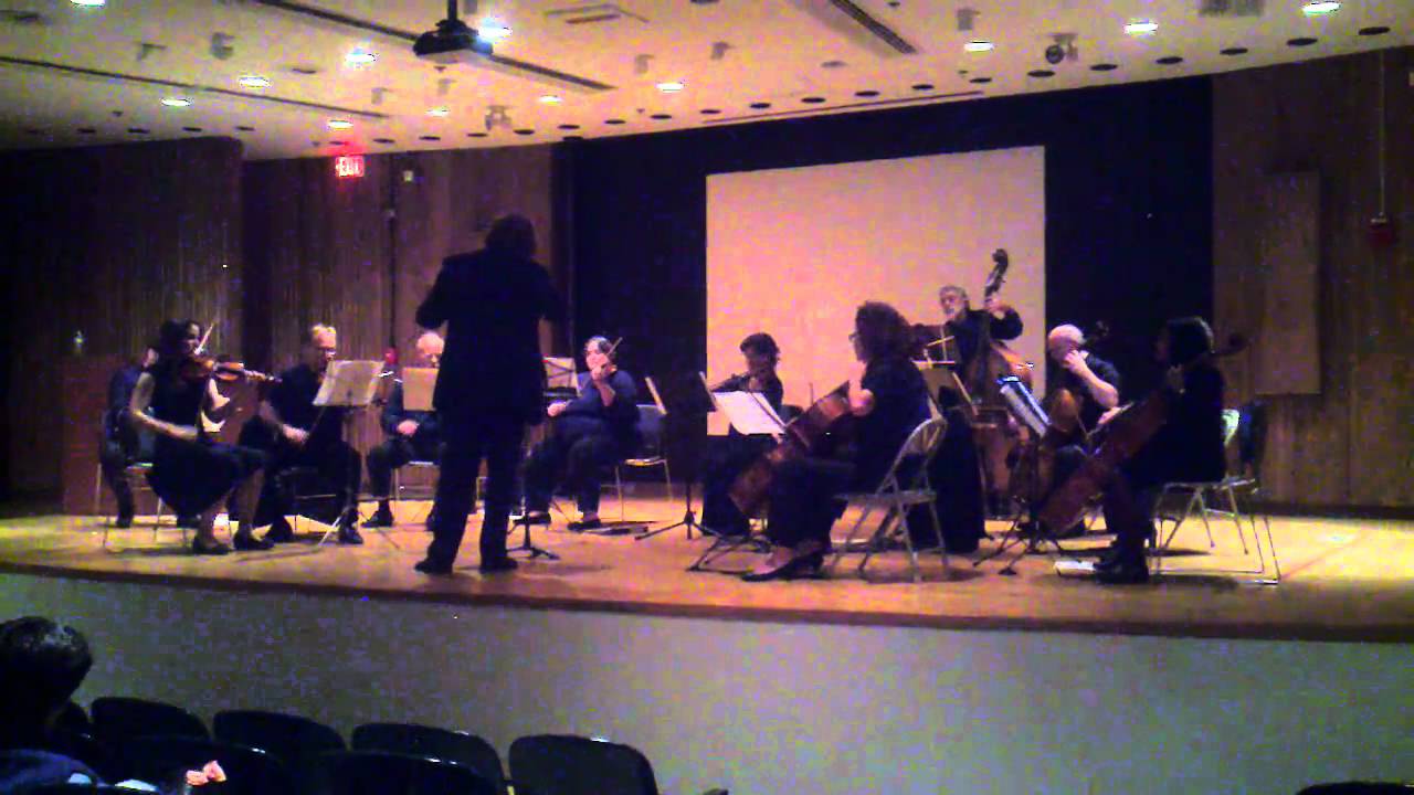 Connecticut Doctors' Orchestra