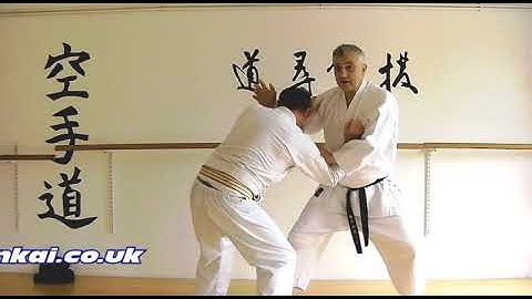 seipai Bunkai Strategies 2022 week 27 koryu karate oyo jutsu