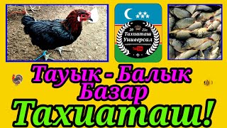 видео: 19.10.25ж.ТАУЫК - БАЛЫК БАЗАР #тахиаташ#каракалпакистан#бахалары#цены#тауык#балык#шоже#тауык#кораз  картинка: 19.10.25ж.ТАУЫК - БАЛЫК БАЗАР #тахиаташ#каракалпакистан#бахалары#цены#тауык#балык#шоже#тауык#кораз