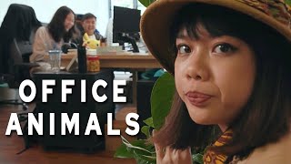 Pam Rants on Office People