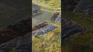 Invasive Grass to DIVERSE MEADOW #meadow #garden