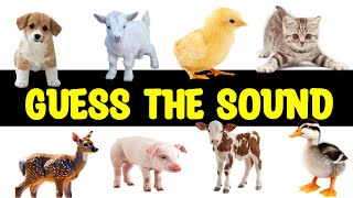 Guess the Baby Animal Sound! - Fun Sound Quiz screenshot 4