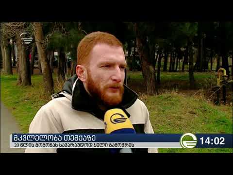 თემქაზე ახალგაზრდა გოგოს მკვლელობის ახალი დეტალები