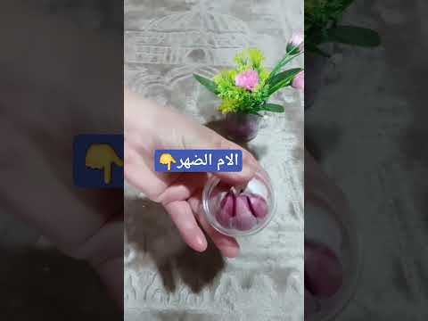 وصفة مجربة ل الام الضهر في متناول الجميع