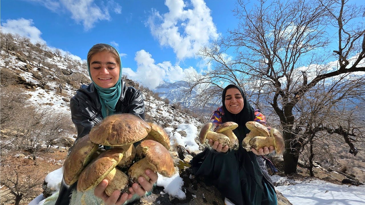 😱🍄 Can You Find Mushrooms in Heavy Snow?! | Zagros Mountains