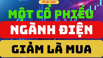 Phân tích cổ phiếu:  Một Cổ Phiếu Ngành Điện Giảm Là Mua  I Trương Công Bảo