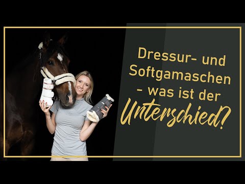 Dressur- und Softgamaschen