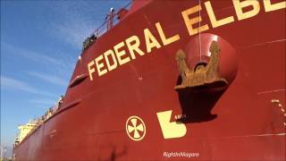 Cargo Ship Time-Lapse, EDERAL ELBE Raised at Lock 7, meets ALGOCANADA Welland Canal 2016