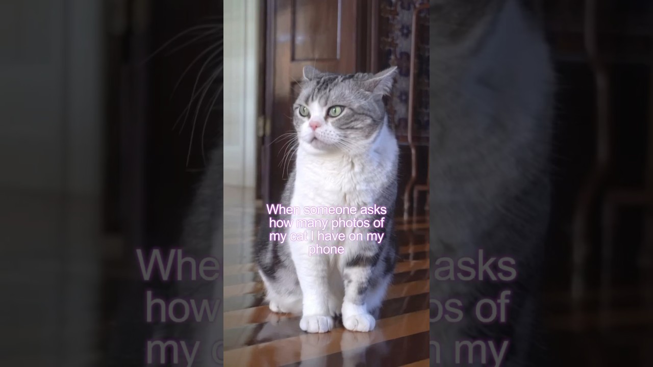 Probably even more than that 😹 