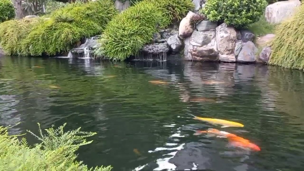 Từ thú nhận của chồng, tôi nghiệm ra: Không phải nhan sắc hay tiền bạc, đàn ông 50 say mê nhất ...