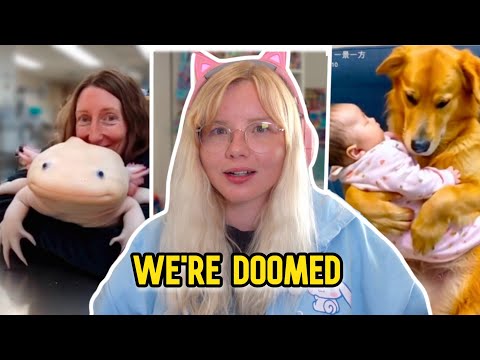 Ai Animal Slop Is Taking Over Tiktok & Facebook