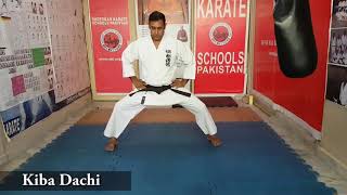 Basic Karate Stances