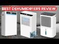 Best Dehumidifiers Review 2026🔥 Top Dehumidifiers for Basement, Bedroom & Large Rooms (Buying Guide)