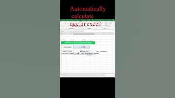 Automatically Calculate Age in Excel |  #shortsbeta #shortsfeed  #shorts