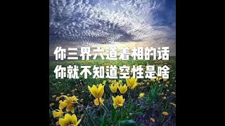 201902 你三界六道着相的话 你就不知道空性是啥25601